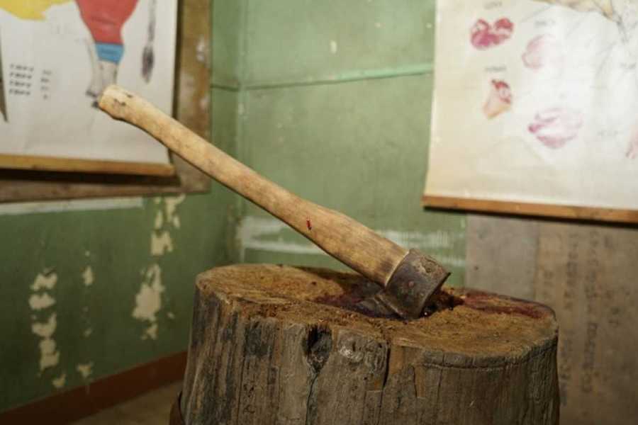 Квест в реальности Проклятый лагерь от компании Волна Квест в реальности Проклятый лагерь от компании Волна